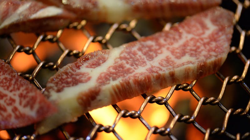 Fresh colorful pizza toppings including vegetables and herbs